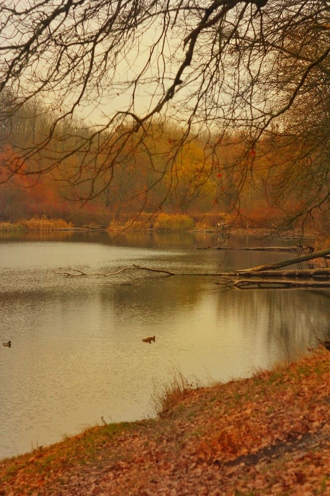 Photograph by Евгения Уманец