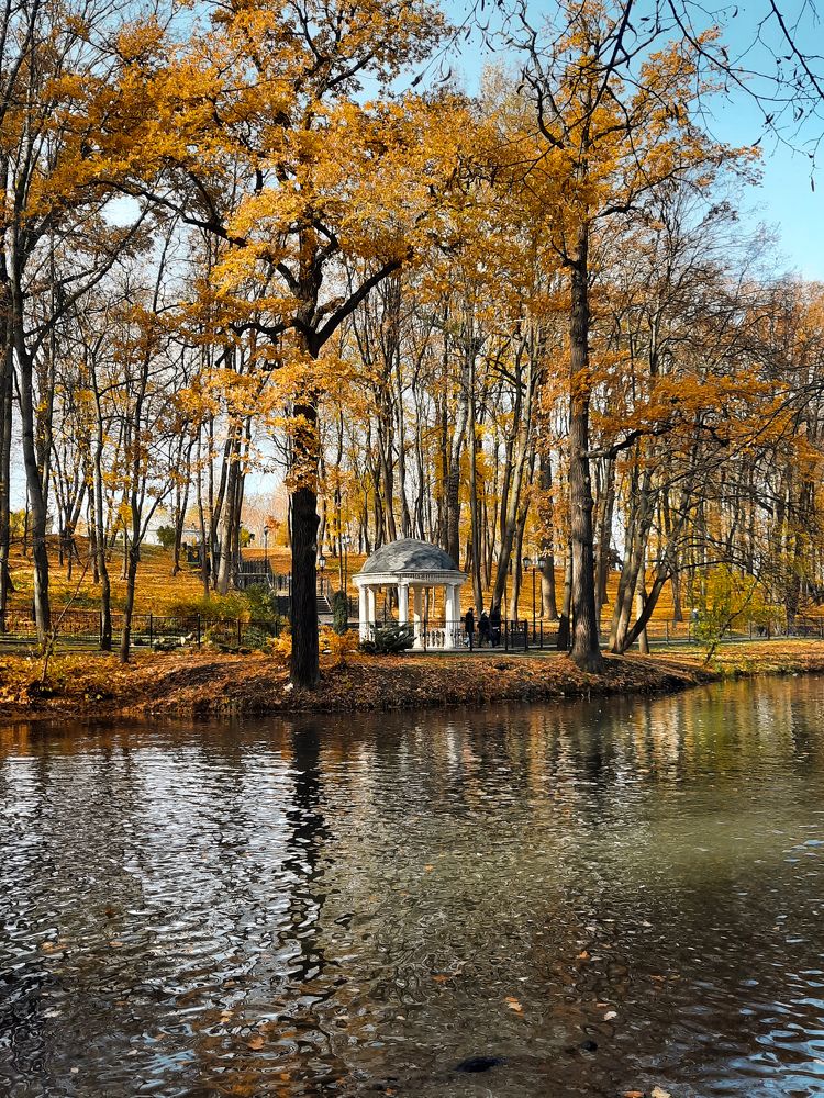 Платоновский парк в Туле