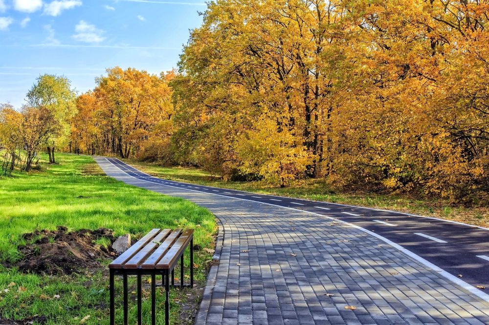 На беговой дорожке осенним утром..