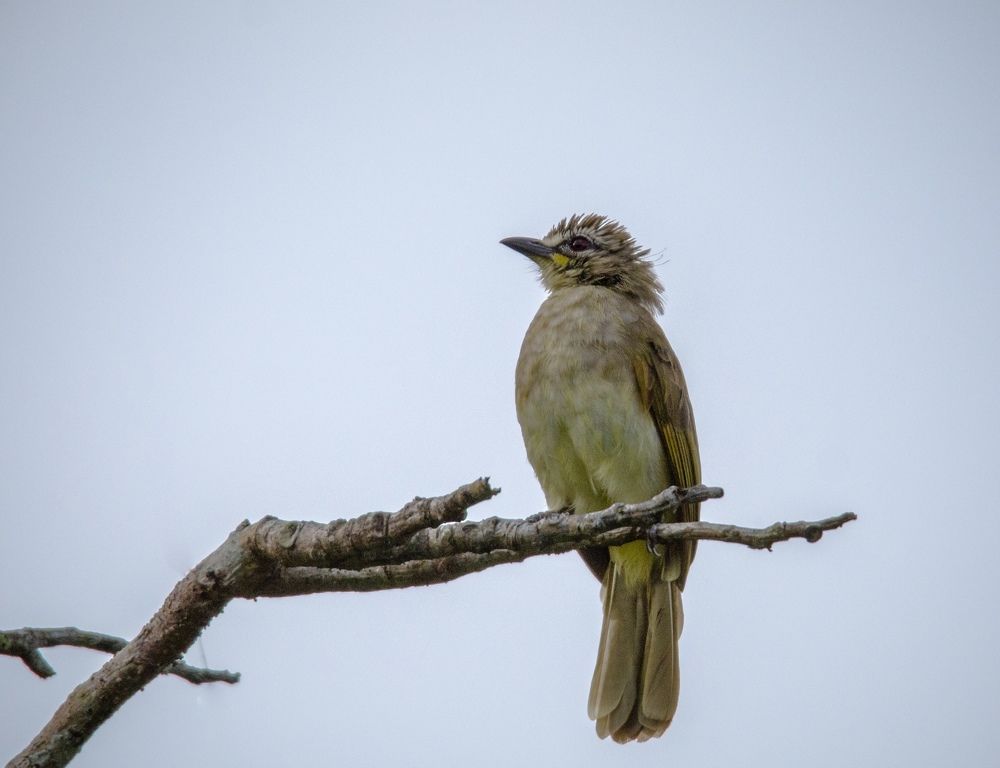 Photograph by Sandali Malalasekera