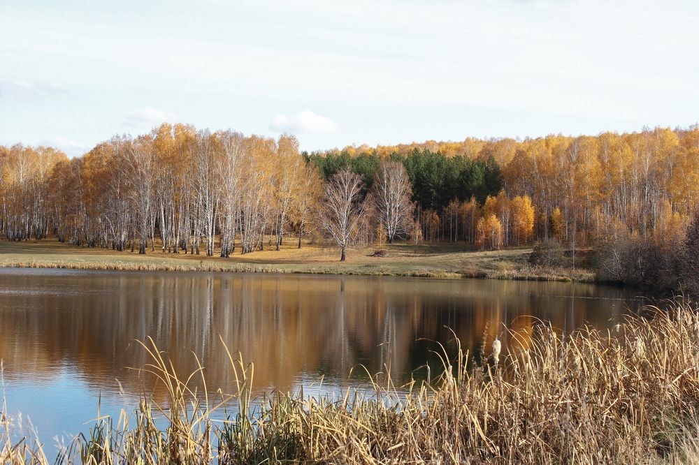 Photograph by Владимир Полотов