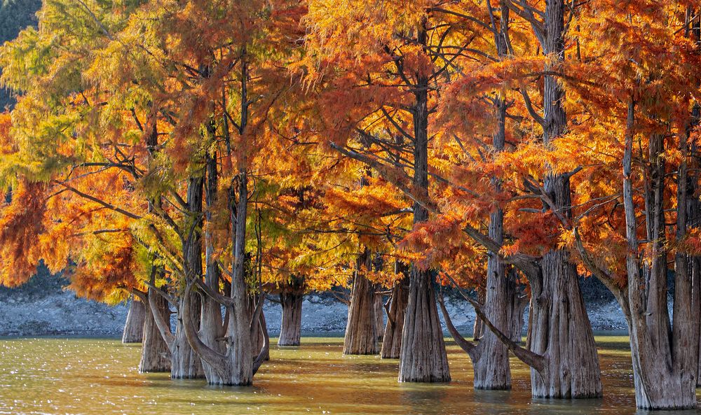 Photograph by Сергей Христинич