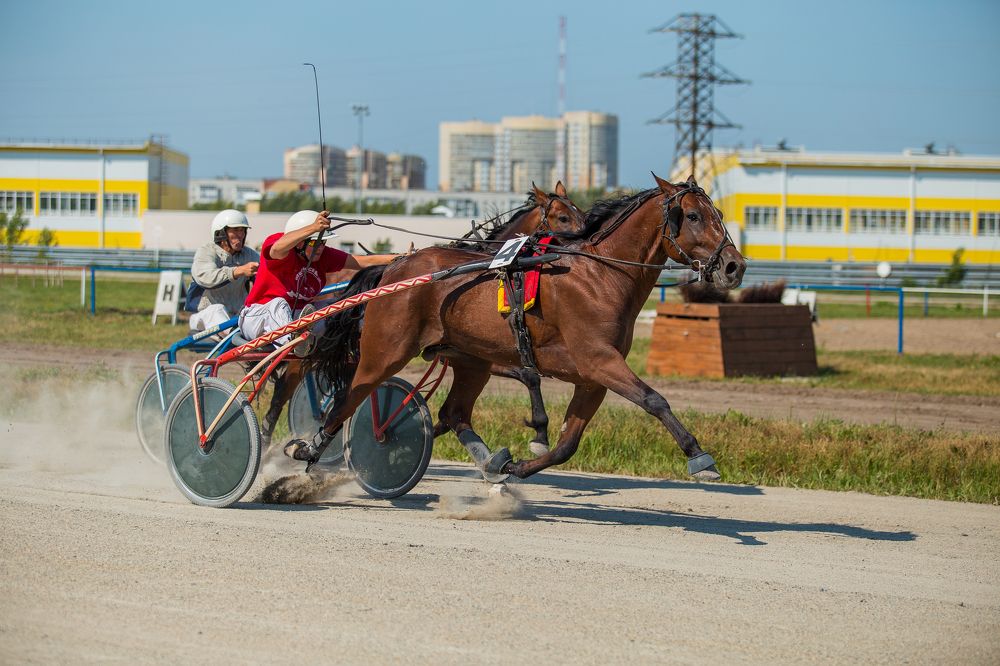 Photograph by Надежда Войнова