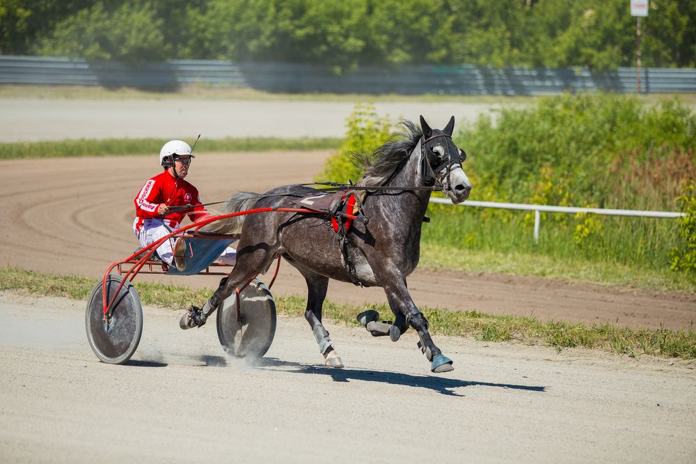 Photograph by Надежда Войнова