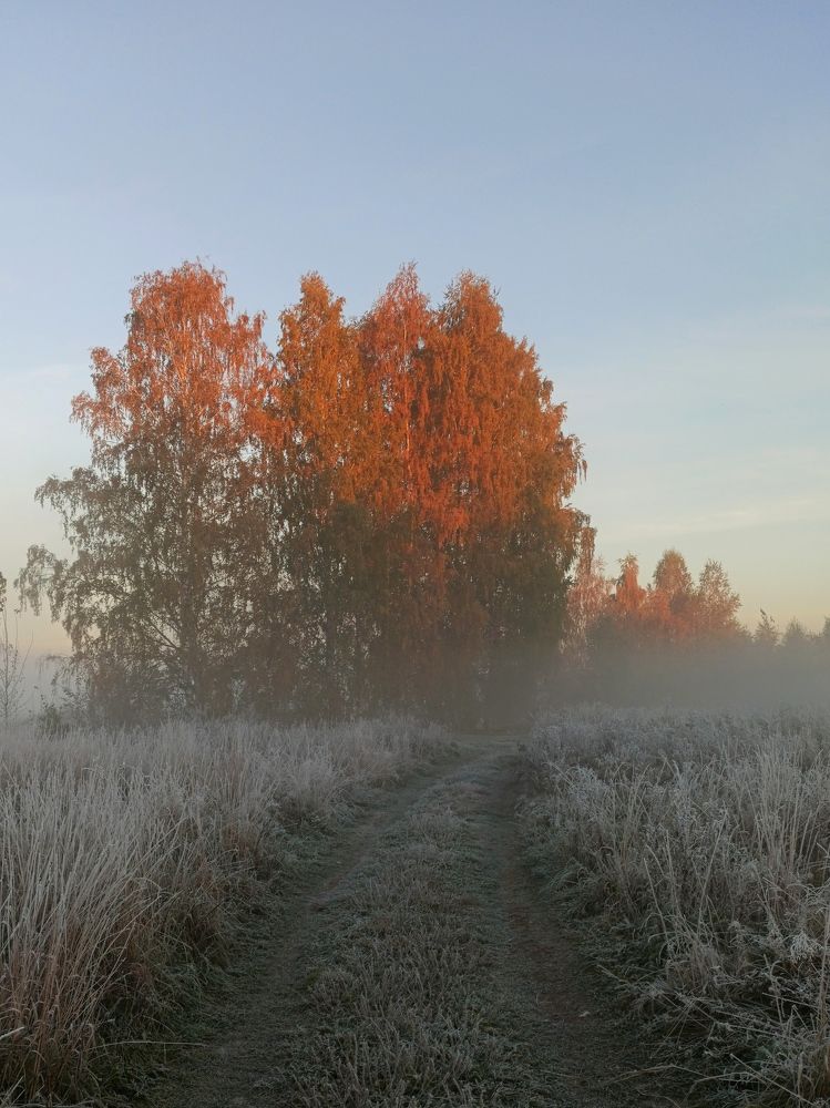 Photograph by Eлена Смирнова
