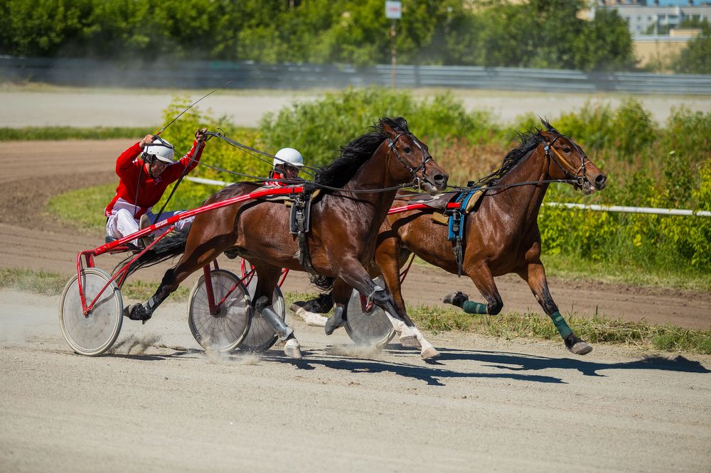 Photograph by Надежда Войнова