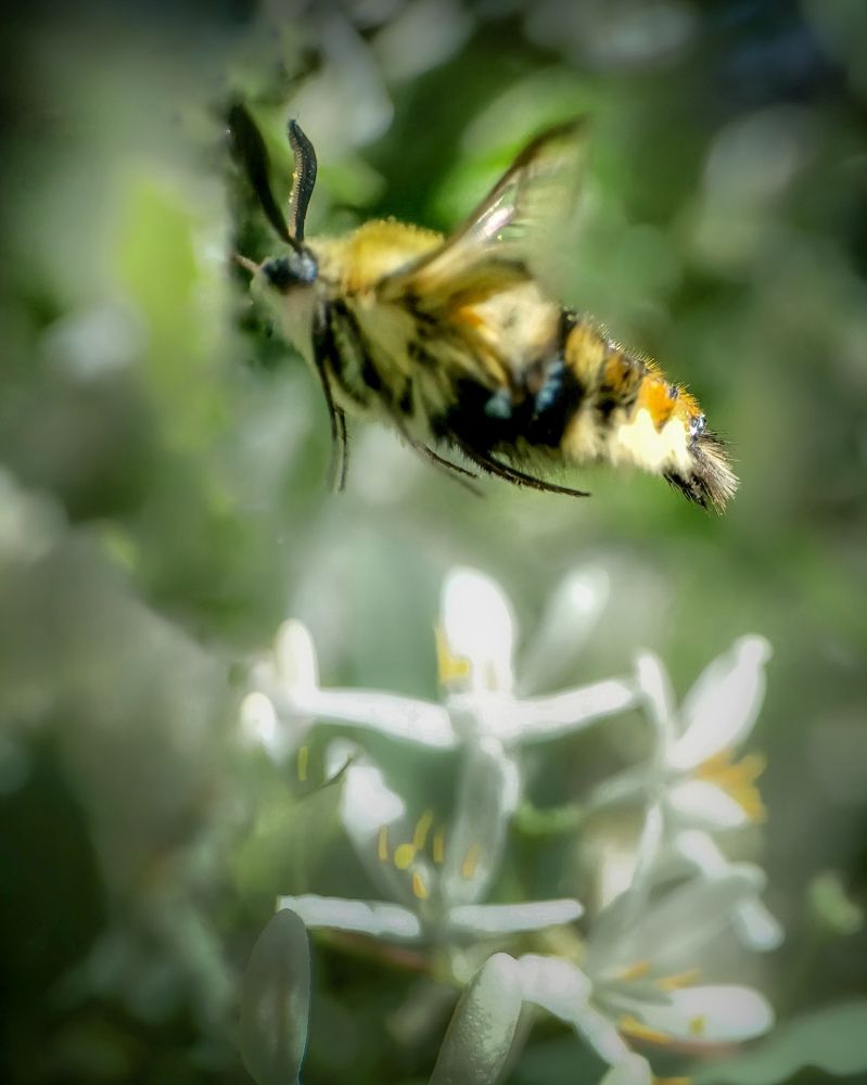 Фотография автора Марина