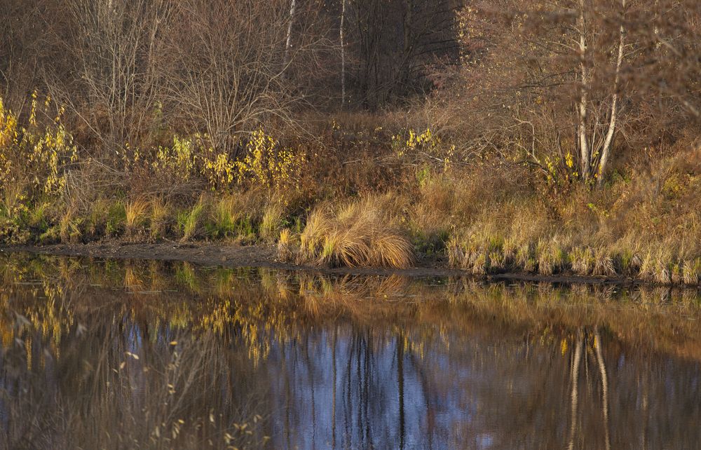 Photograph by Kuzmichev Alexey