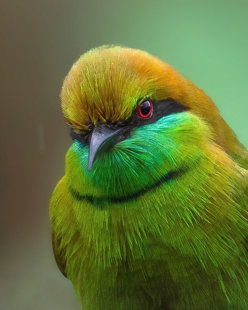 Photograph by Madhurya Mozumder