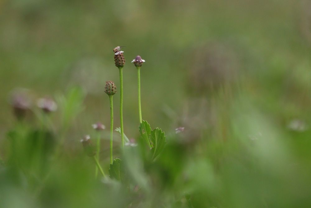 Фотография автора Abhijit Mukherjee