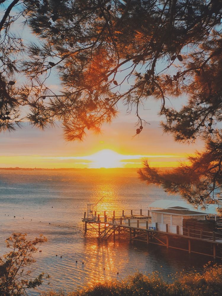 Фотография автора Алла