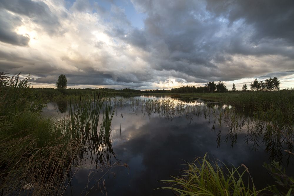 Photograph by Евгений Цветков