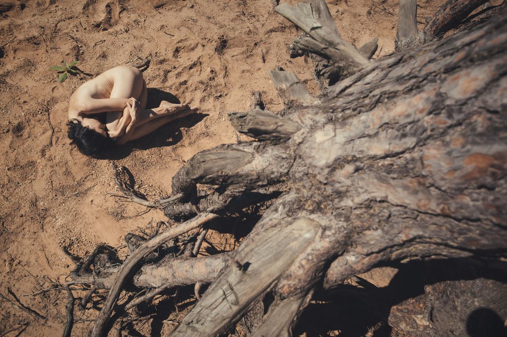 Photograph by Злотник Владимир