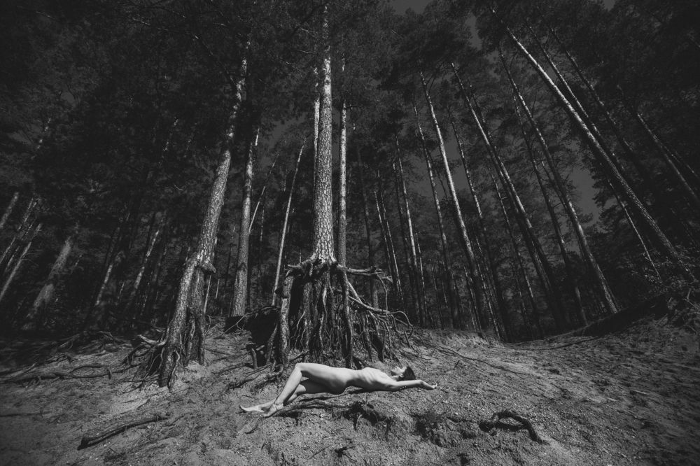 Photograph by Злотник Владимир