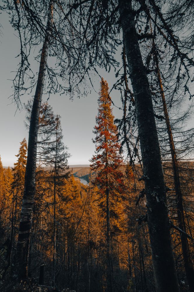 Photograph by Олег Леонтьев