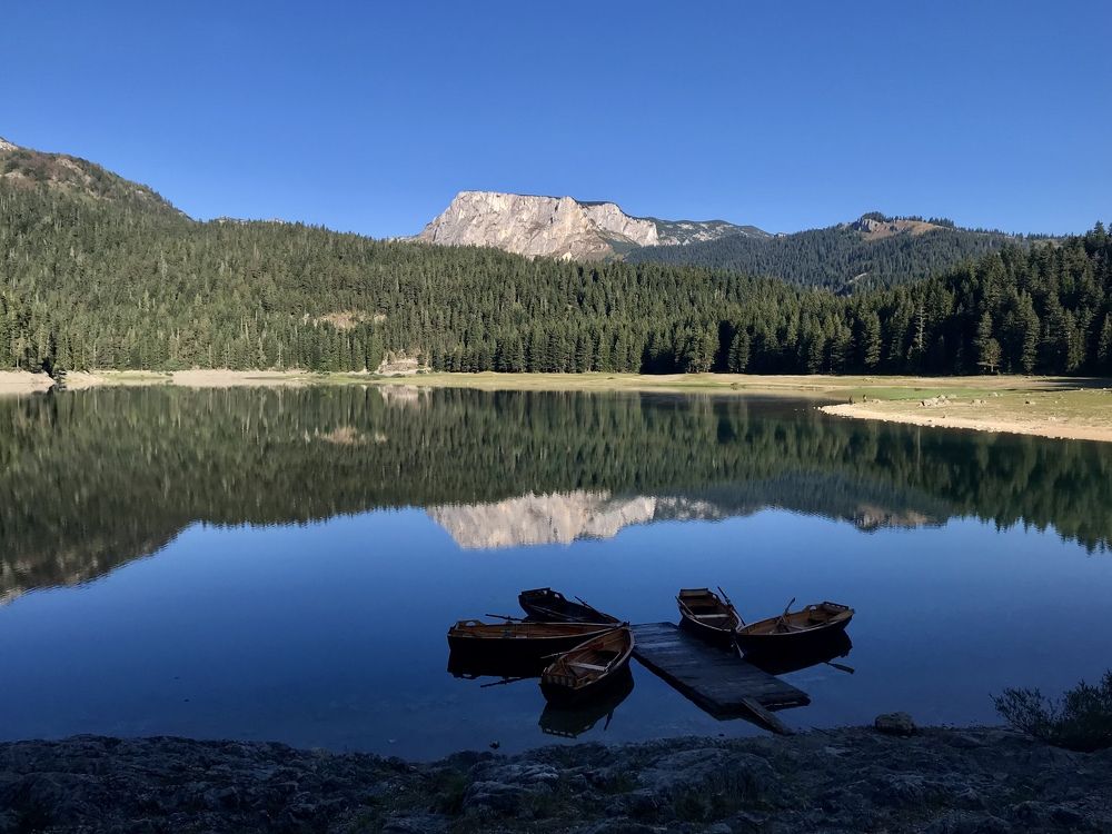 Photograph by Шестакова Наталья