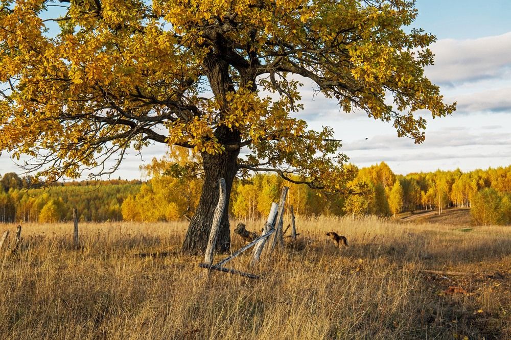 Photograph by Елена