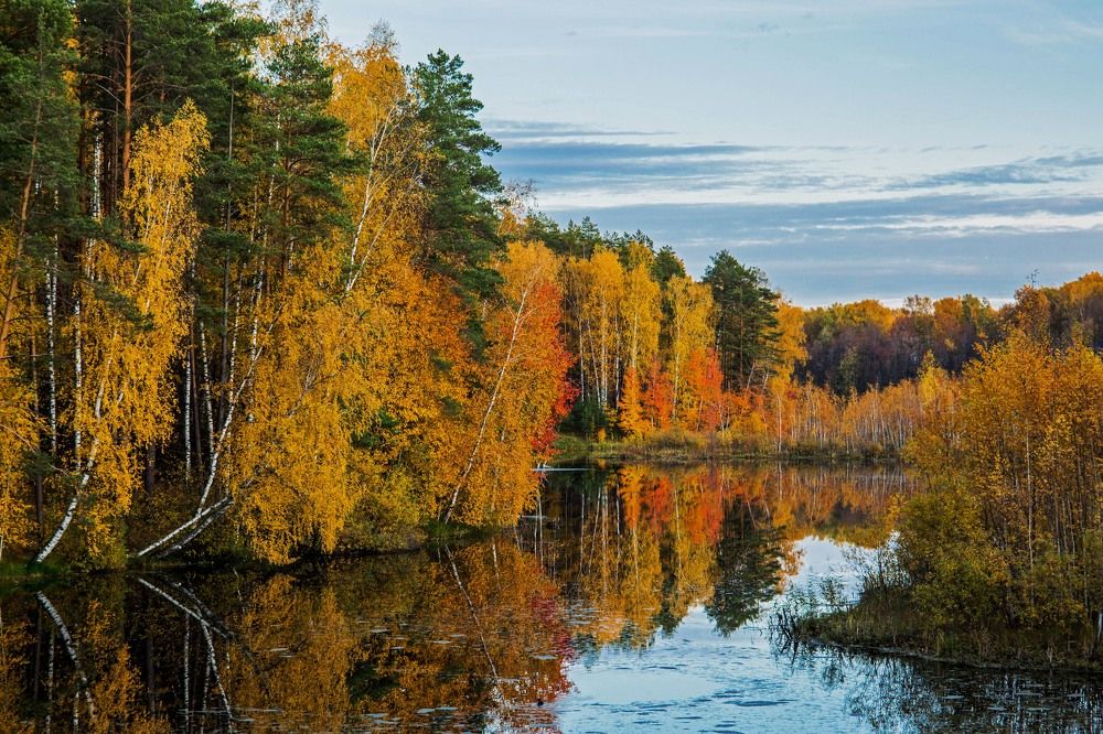 Photograph by Елена