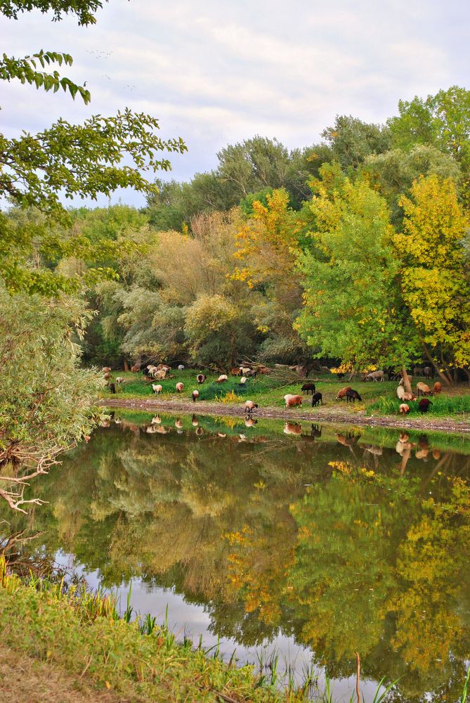 Photograph by Наталия Захарова