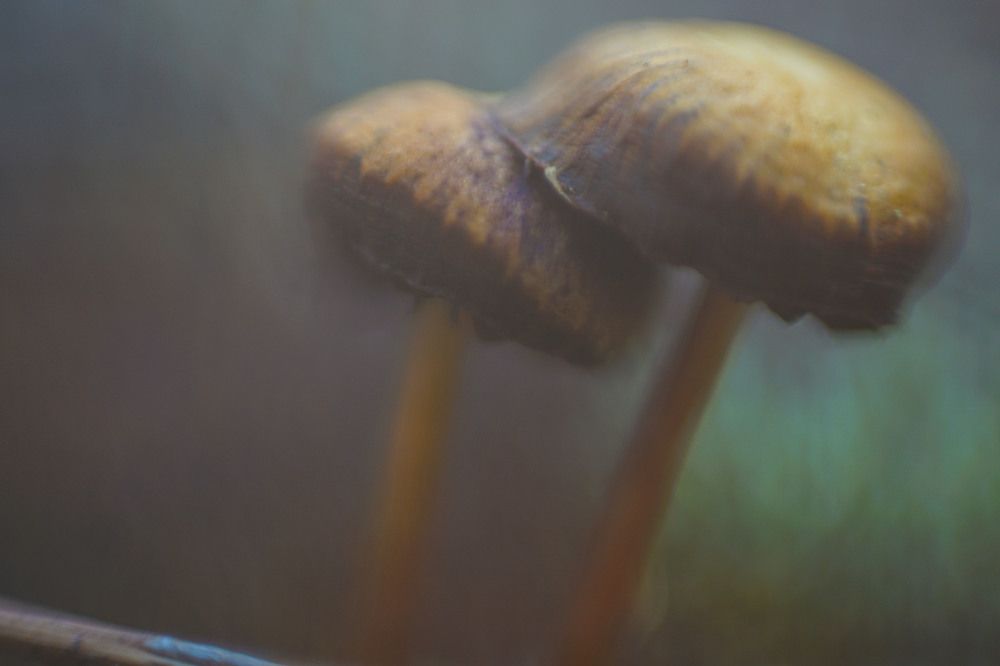 Photograph by Виктор Квасов