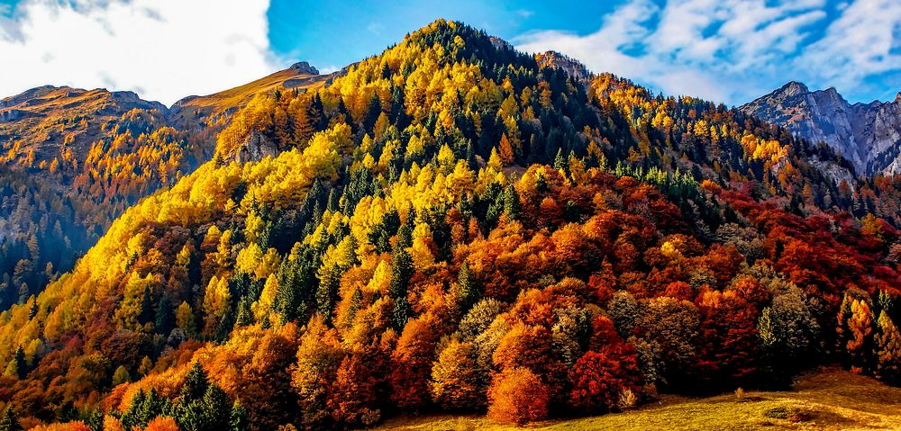 Autumn in the mountains
