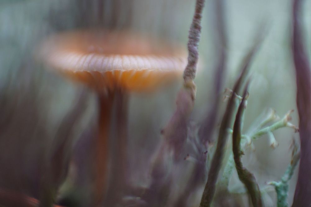 Photograph by Виктор Квасов