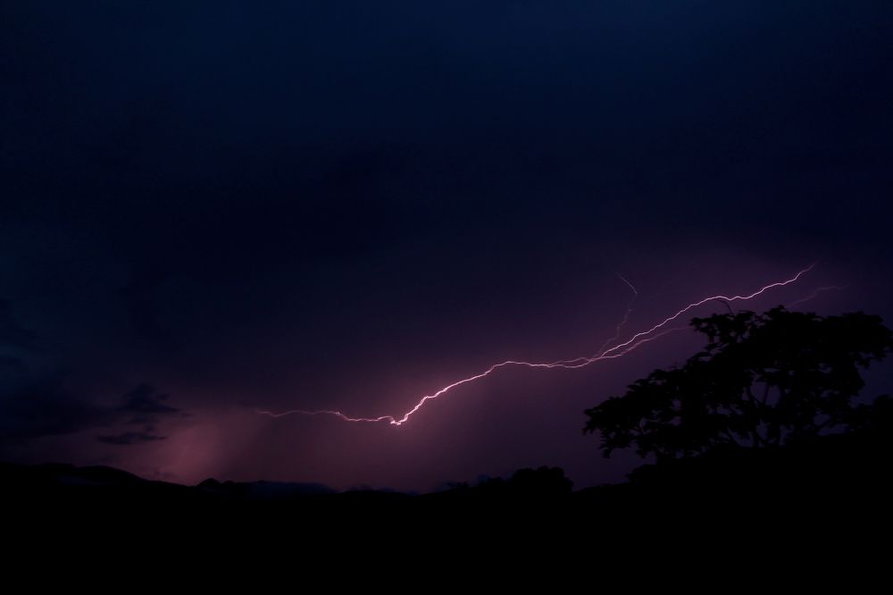 Photograph by Tatiana Barthem