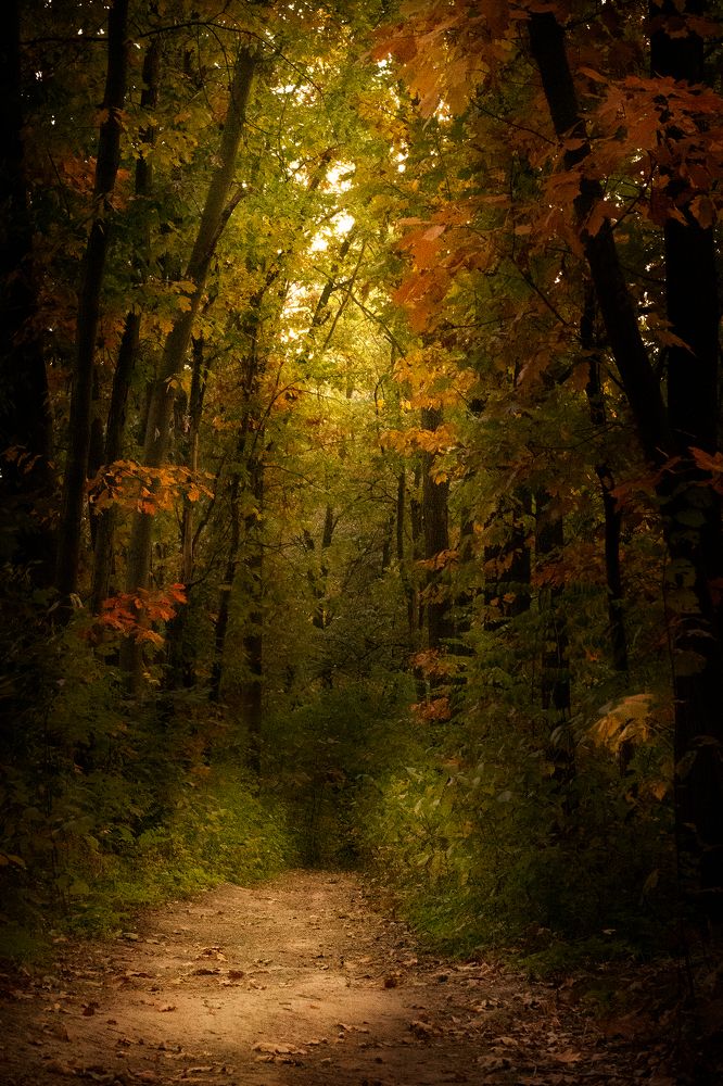 Photograph by Anke Sark