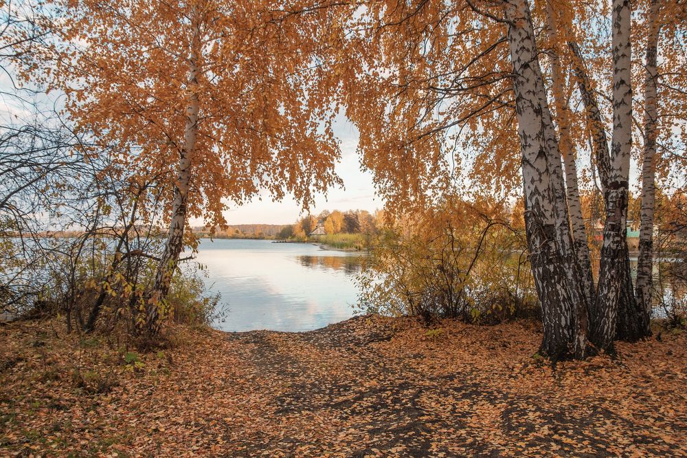 Photograph by Вера Кетова