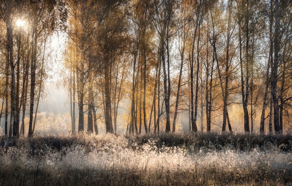 Photograph by Максим Мозжухин