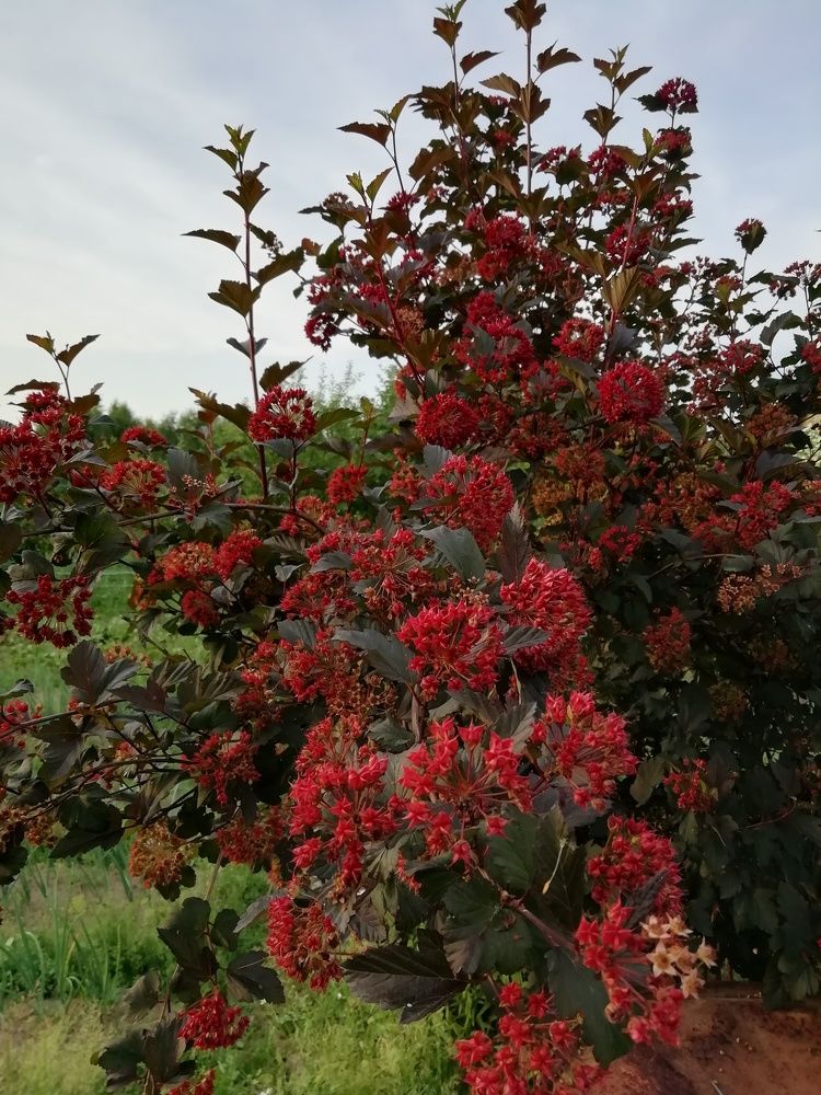 Фотография автора Ирина