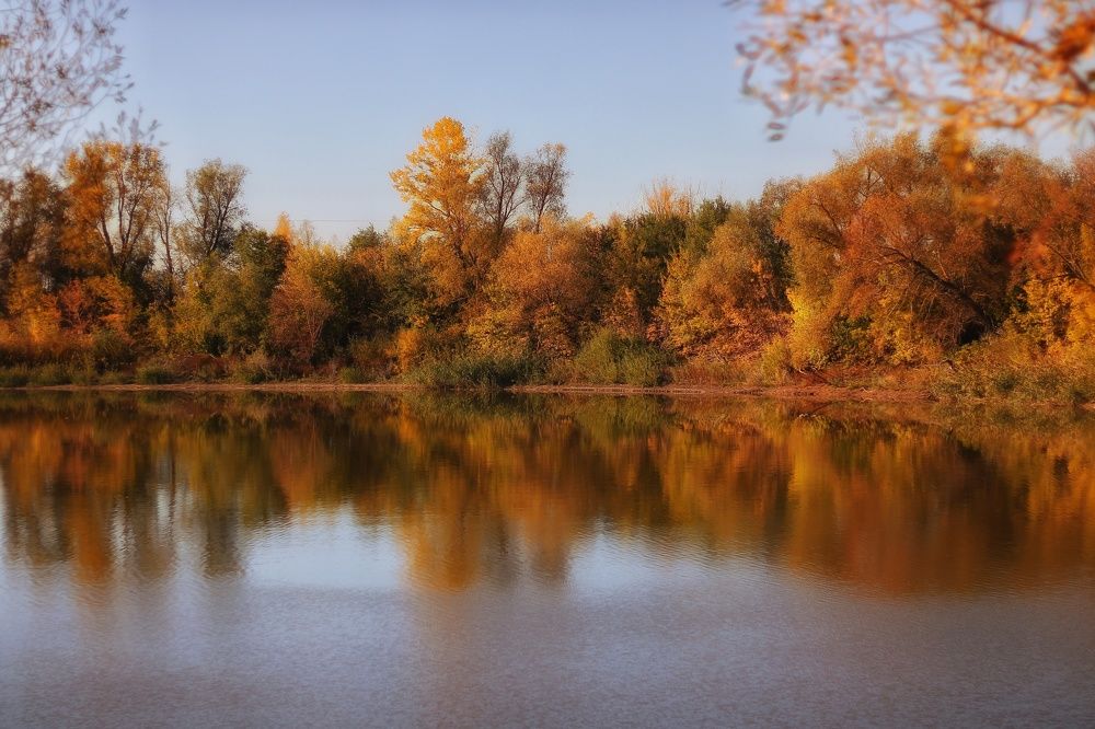 Photograph by Гульжан Шарипова