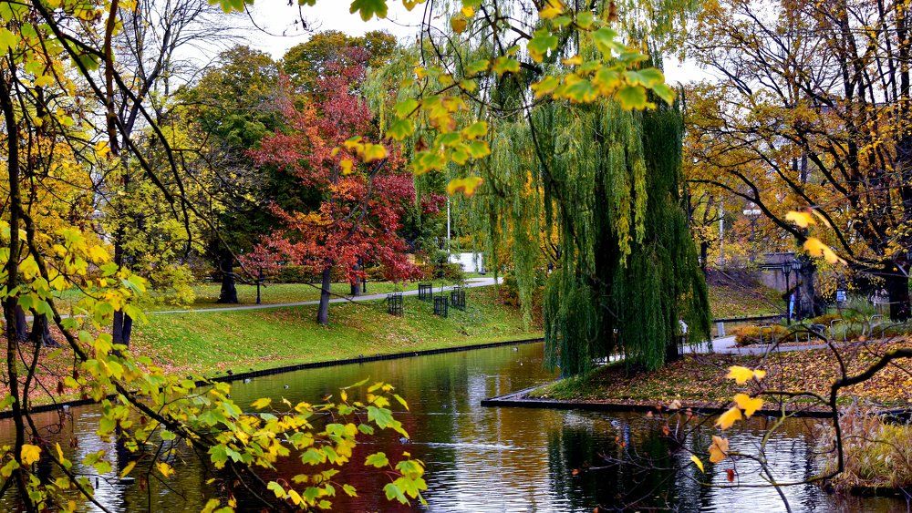 Осенний колорит / Autumn flavor