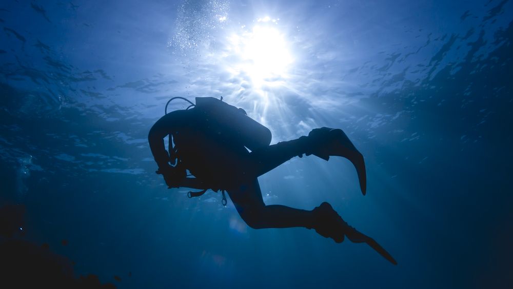 Diving in the Red Sea