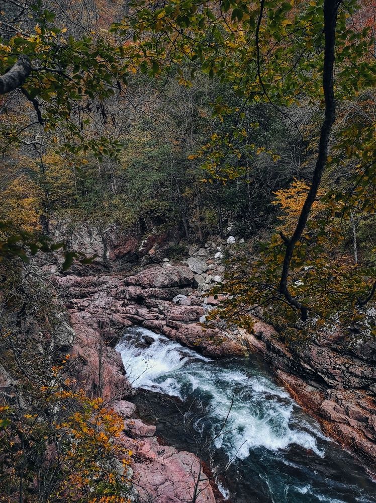 Photograph by Владимир Караман