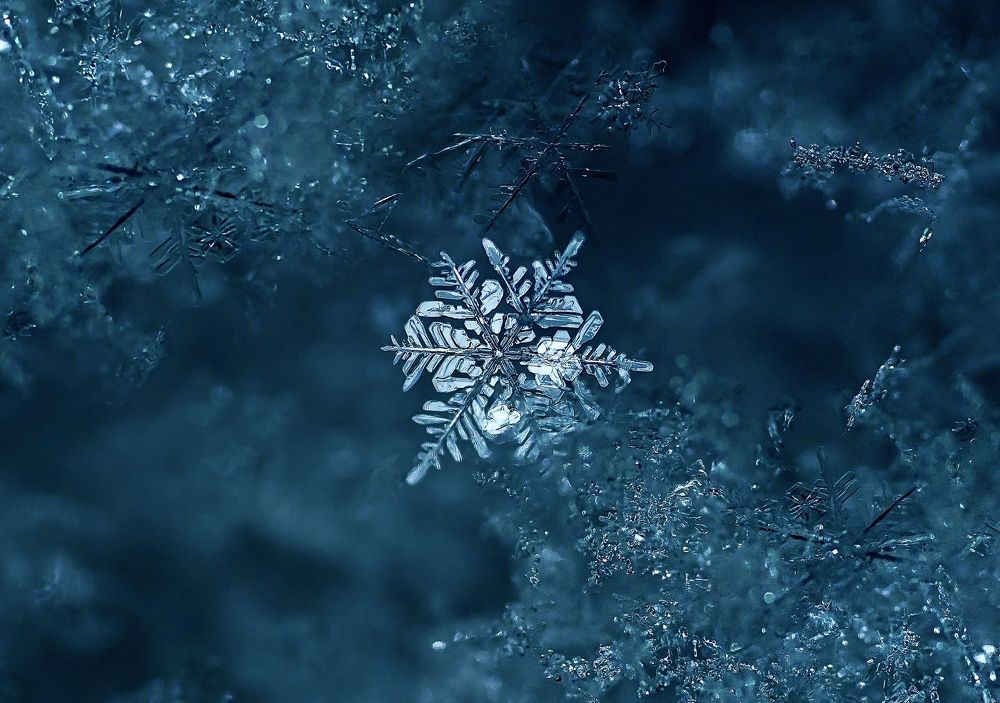 Photograph by Helena