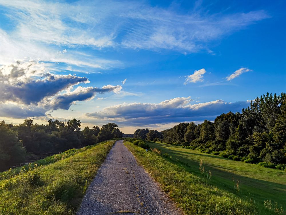 Photograph by Bojana Vein