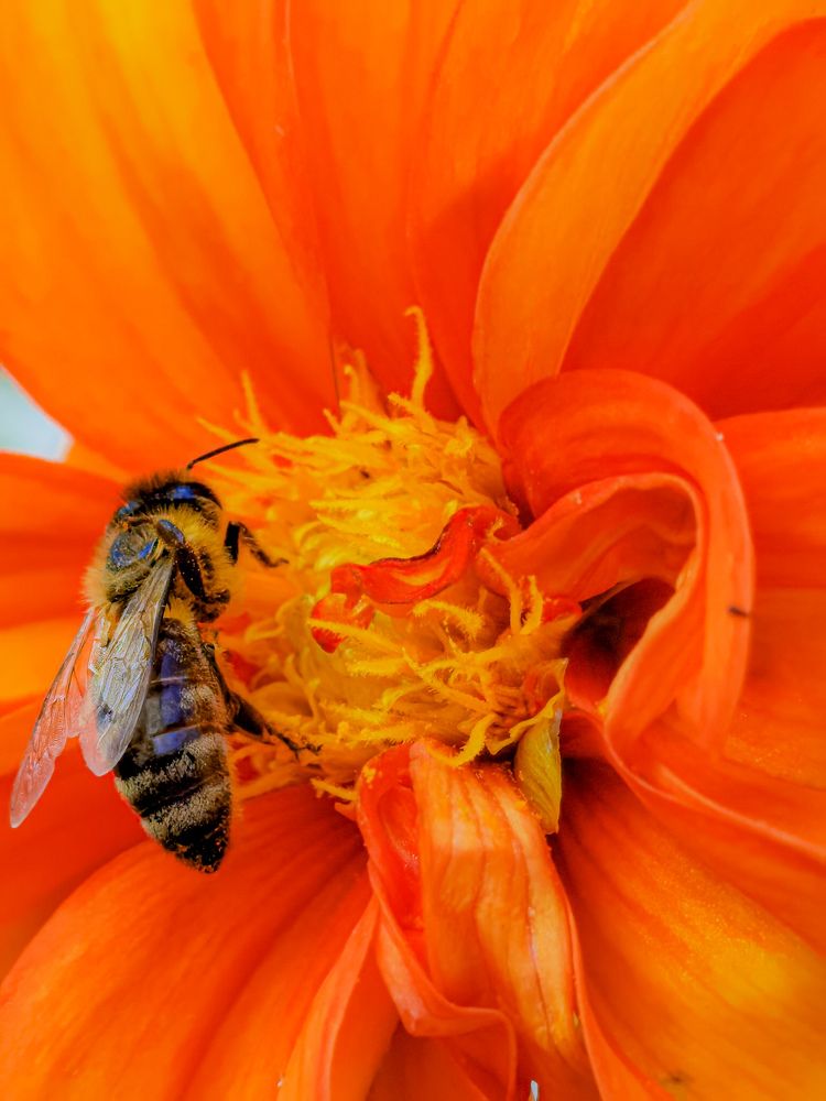 Photograph by Bojana Vein