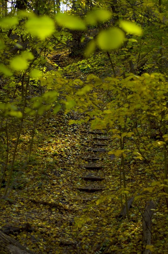 Photograph by Евгения Михайлова