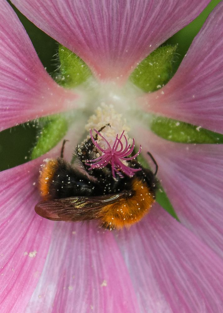 Photograph by Ольга Ситникова