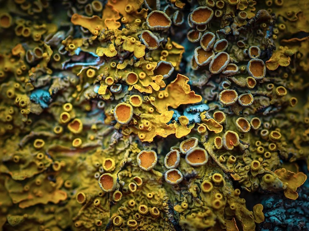 Фотография автора Helena