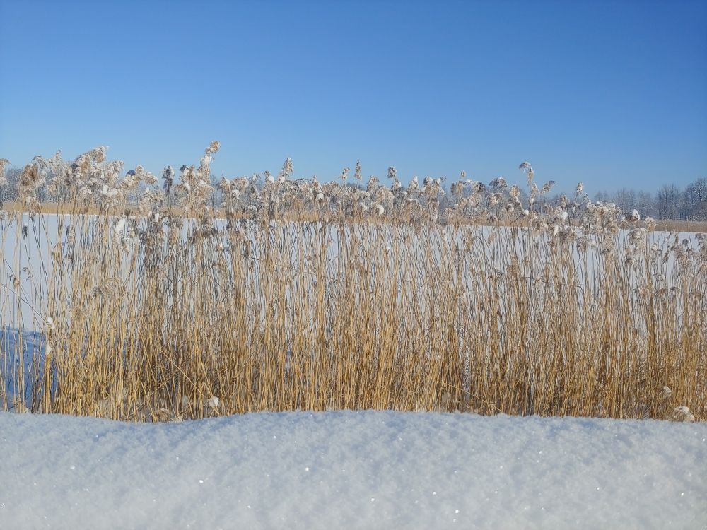 Photograph by Александр