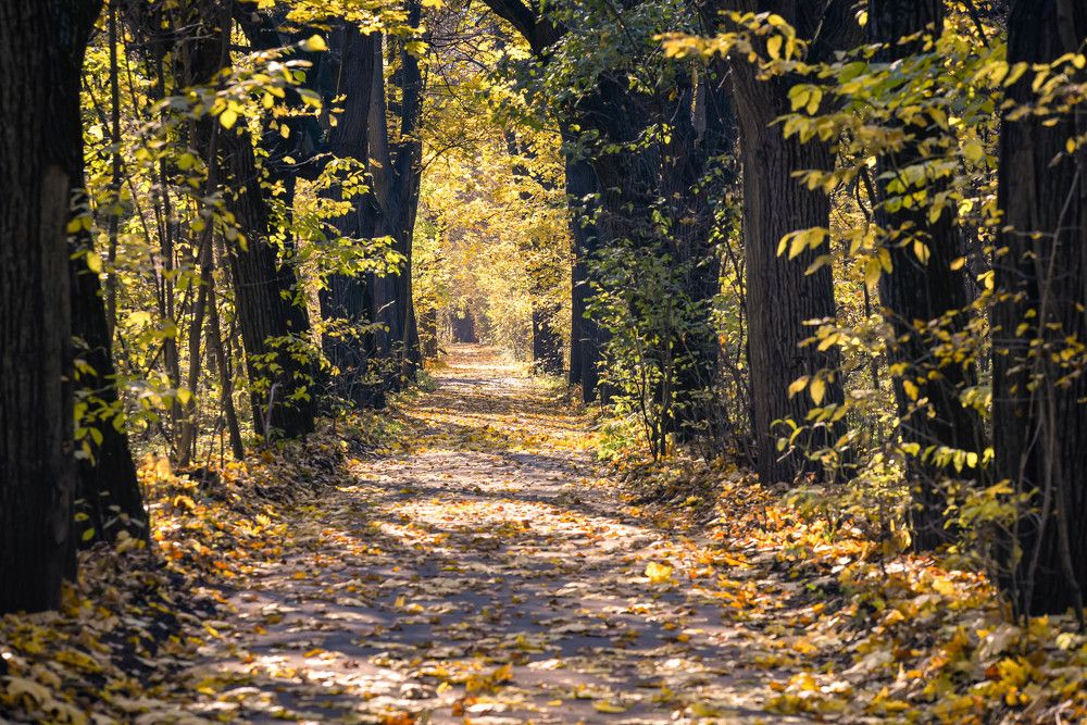 Photograph by Ольга Мендоса