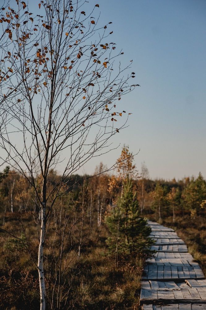 Photograph by Katya Slavich