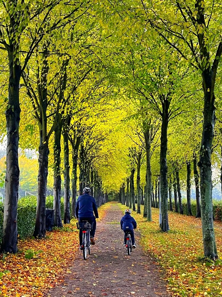 Photograph by Lila Sabbaghian Rad