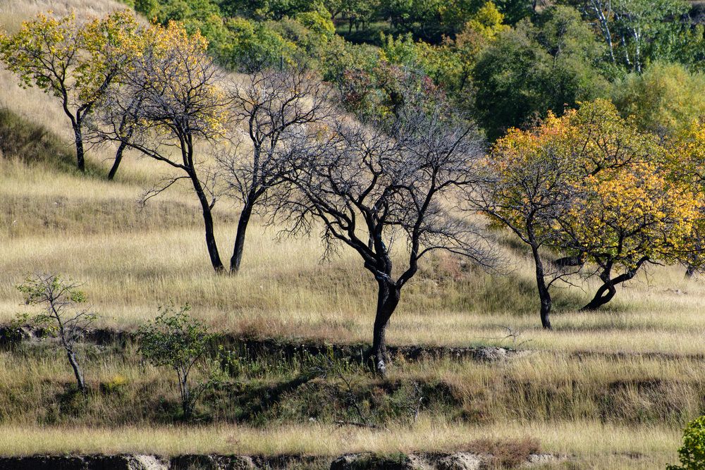 Photograph by Леонид Синев