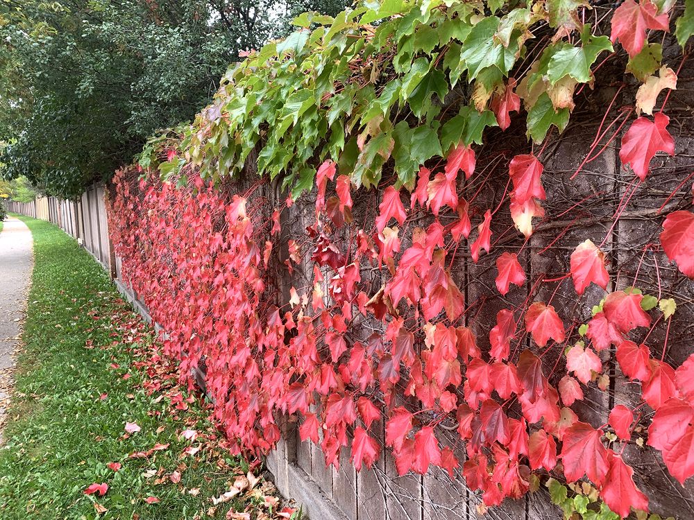 Photograph by Liliana Grup