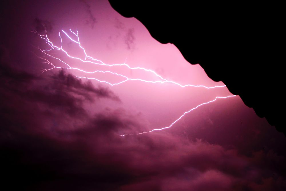 Photograph by Tatiana Barthem