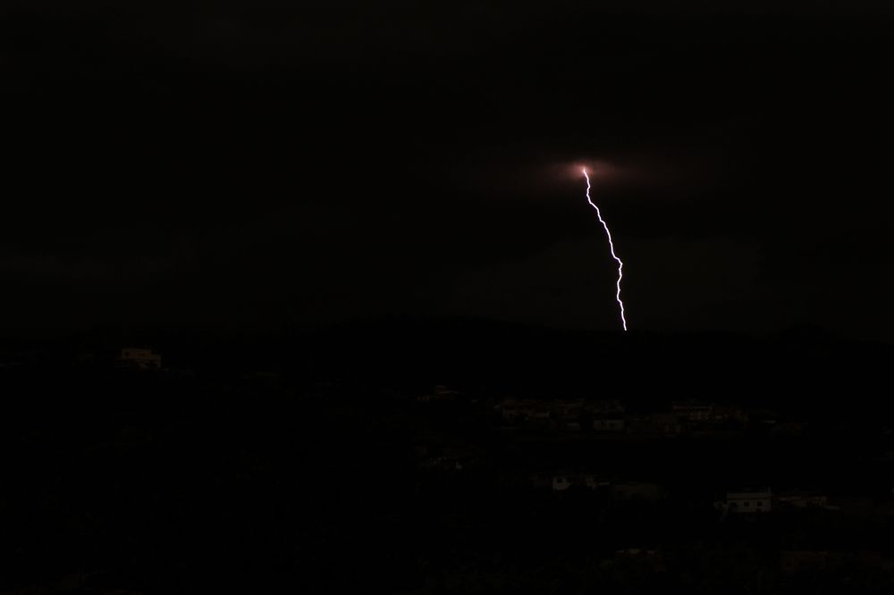 Photograph by Tatiana Barthem