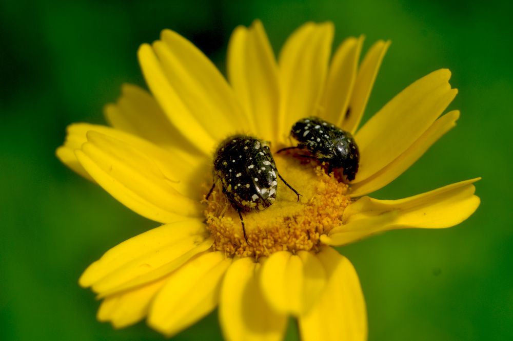 Photograph by Mourad Yahiaoui